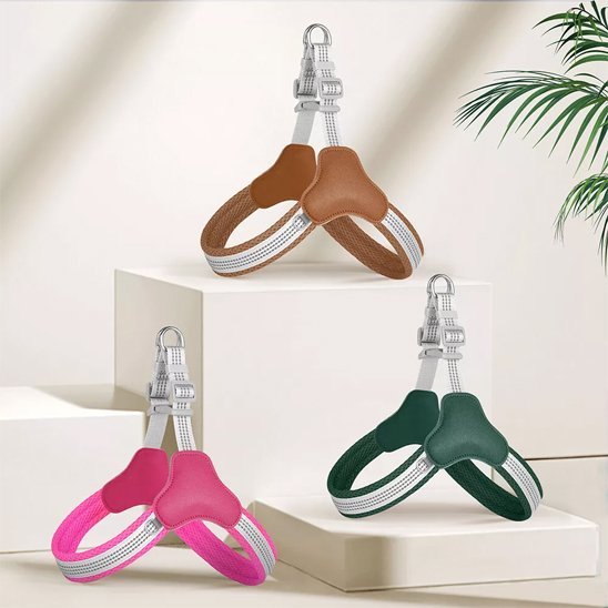 Harnais pour chien | Ajustable Confort - Galaxie Des Chiens