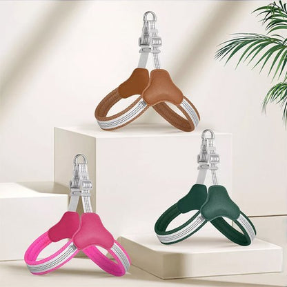 Harnais pour chien | Ajustable Confort - Galaxie Des Chiens