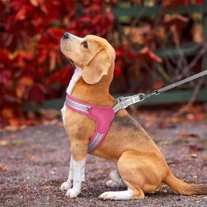 Harnais pour chien | Ajustable Confort - Galaxie Des Chiens