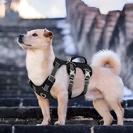 Harnais pour chien | Confort Sécurisé - Galaxie Des Chiens