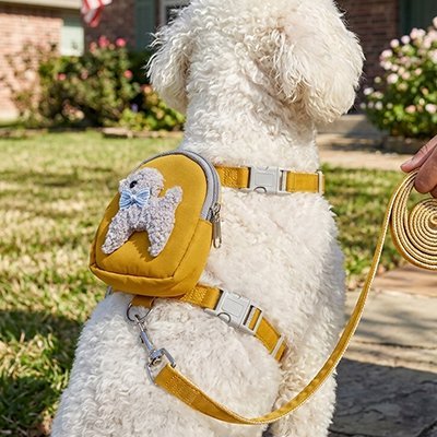 Harnais pour chien | Confort Anti - Traction - Galaxie Des Chiens
