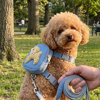 Harnais pour chien | Confort Anti - Traction - Galaxie Des Chiens