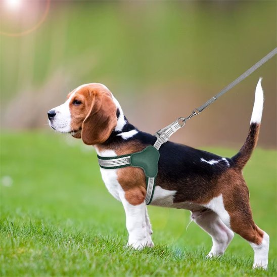 Harnais pour chien | Ajustable Confort - Galaxie Des Chiens