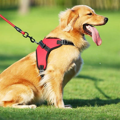 Harnais pour chien | Confort Sécurisé - Galaxie Des Chiens