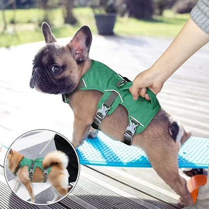 Harnais pour chien | Confort Sécurisé - Galaxie Des Chiens