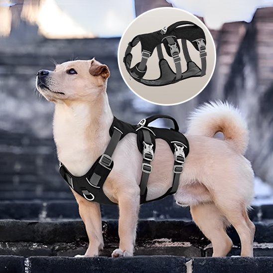 Harnais pour chien | Confort Sécurisé - Galaxie Des Chiens
