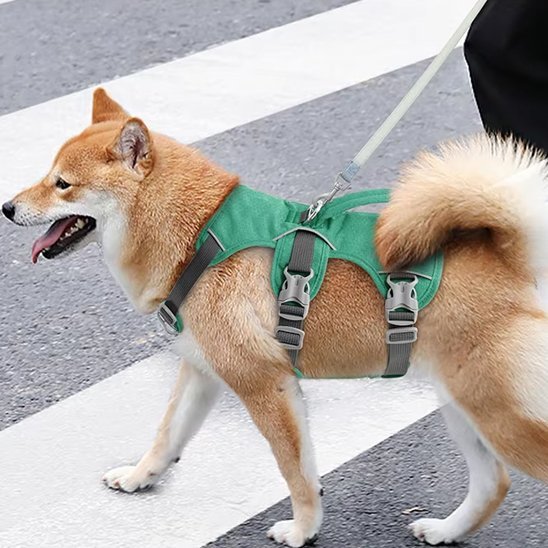 Harnais pour chien | Confort Sécurisé - Galaxie Des Chiens