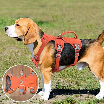 Harnais pour chien | Confort Sécurisé - Galaxie Des Chiens