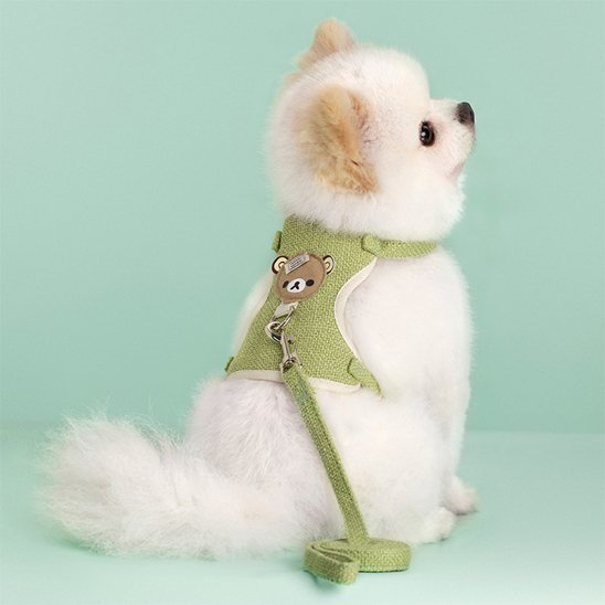 Harnais pour petit chien | AjustConfort - Galaxie Des Chiens
