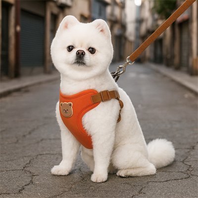 Harnais pour petit Chien | Confort Sécurisé - Galaxie Des Chiens