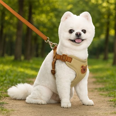 Harnais pour petit Chien | Confort Sécurisé - Galaxie Des Chiens
