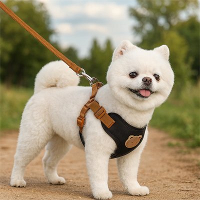 Harnais pour petit Chien | Confort Sécurisé - Galaxie Des Chiens