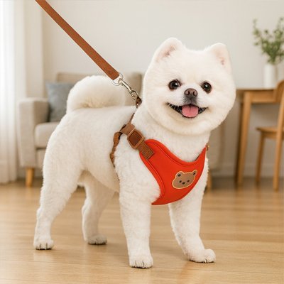 Harnais pour petit Chien | Confort Sécurisé - Galaxie Des Chiens