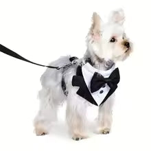 Harnais pour chien smoking noir et blanc, nœud papillon noir élégant-- porté- mettant en évidence  la  grande qualité du harnais | Comfort  Pro