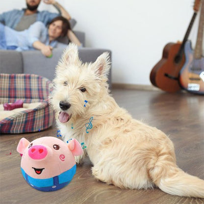 Jouets chien | Interactive Durable - Galaxie Des Chiens