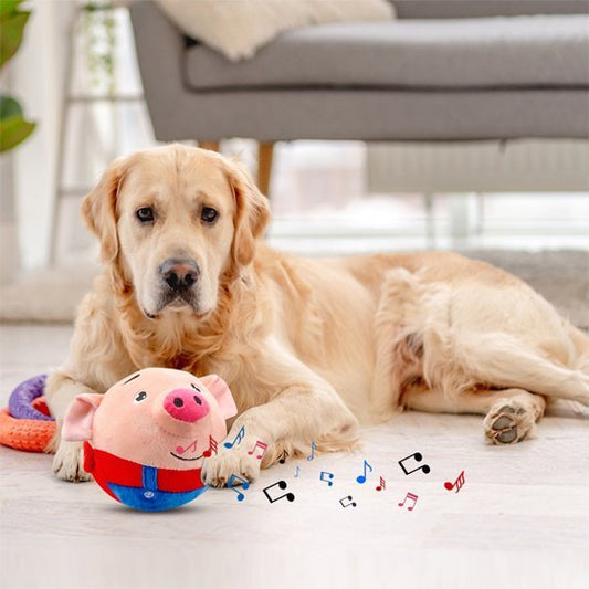 Jouets chien | Interactive Durable - Galaxie Des Chiens