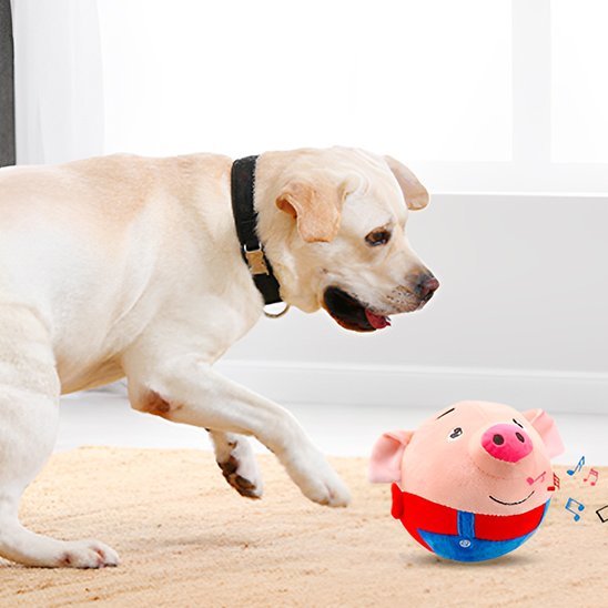 Jouets chien | Interactive Durable - Galaxie Des Chiens