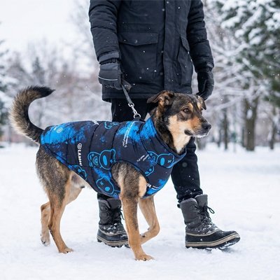 Manteau chien imperméable | Chaleur Résistant - Galaxie Des Chiens