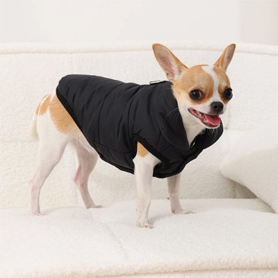 Manteau pour Chien matelassé-Cosy Premium-Noir-ajustable-boucle d'attache-Galaxiedeschiens