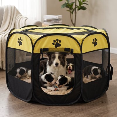 Parc pour Chien