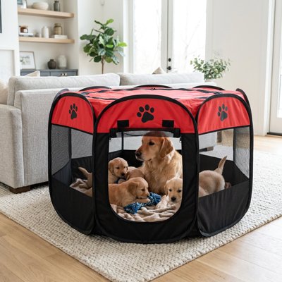 Parc pour Chien