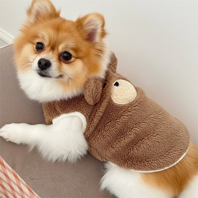 Pull pour Chien pratique Chaleur Élégante -Marron pett ourson au-dessus-Galaxiedeschiens-