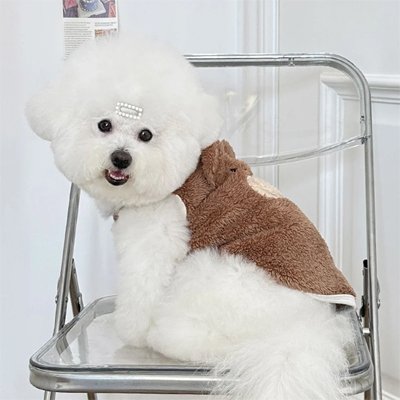 Pull pour Chien | Chaleur Élégante | Texture doublée-Marron -Galaxiedeschiens