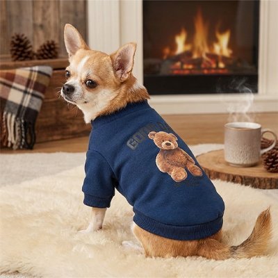 Pull pour Chien | Confort Hivernal - Galaxie Des Chiens