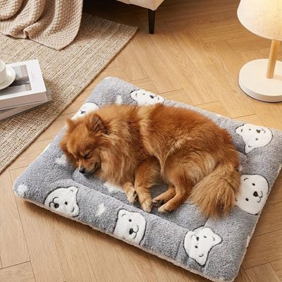 Tapis pour Chien | Confort Premium - Galaxie Des Chiens