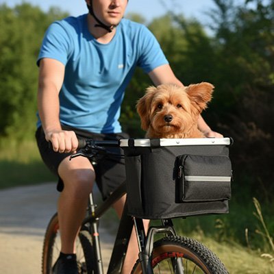 Vélo panier Chien | Securiride - Galaxie Des Chiens
